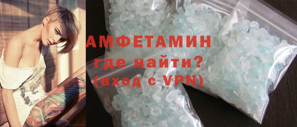 индика Алексин