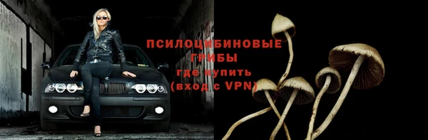 дживик Алзамай