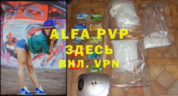 индика Алексин
