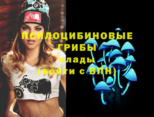 индика Алексин
