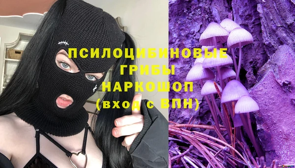 дживик Алзамай