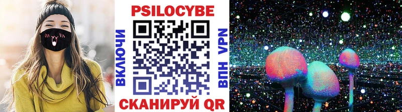 Псилоцибиновые грибы Psilocybe  Мышкин 