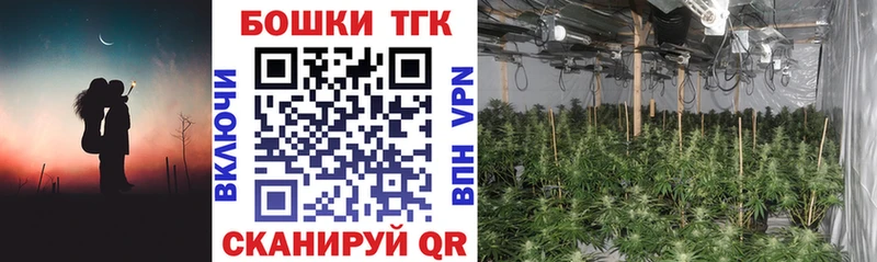 блэк спрут   Мышкин  Бошки марихуана Ganja 